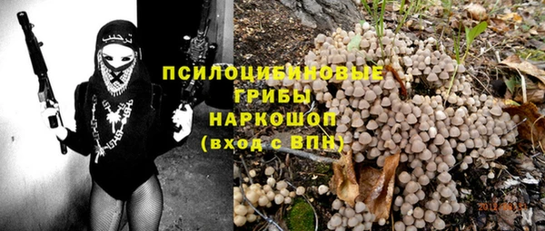 гашиш Ельня