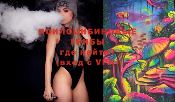тгк Елизово