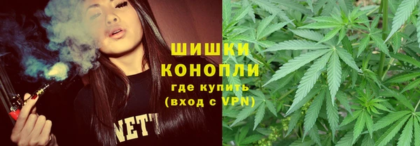 тгк Елизово