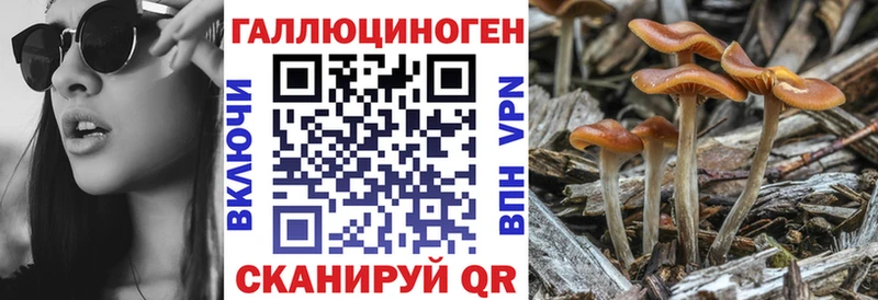 Псилоцибиновые грибы MAGIC MUSHROOMS  мега как войти  Западная Двина 